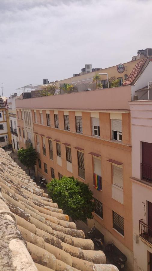 Beautiful Apartment With Terrace San Basilio 塞维利亚 外观 照片